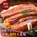 愛知三河産 超絶うなぎ蒲焼(269g-309g)×超特大1尾 2.5人前うなぎ 蒲焼き ギフト 父の日 母の日 敬老の日 食べ物 プレゼント 鰻 ウナギ 蒲焼 ...