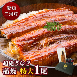 愛知三河産　超絶うなぎ蒲焼（212g-236g）×特大1尾　2人前うなぎ 蒲焼き ギフト 父の日 母の日 敬老の日 食べ物 プレゼント 鰻 ウナギ 蒲焼 国産 国内産 お祝い 内祝い 結婚内祝い グルメ 丑の日 土用の丑の日 冷凍食品 送料無料