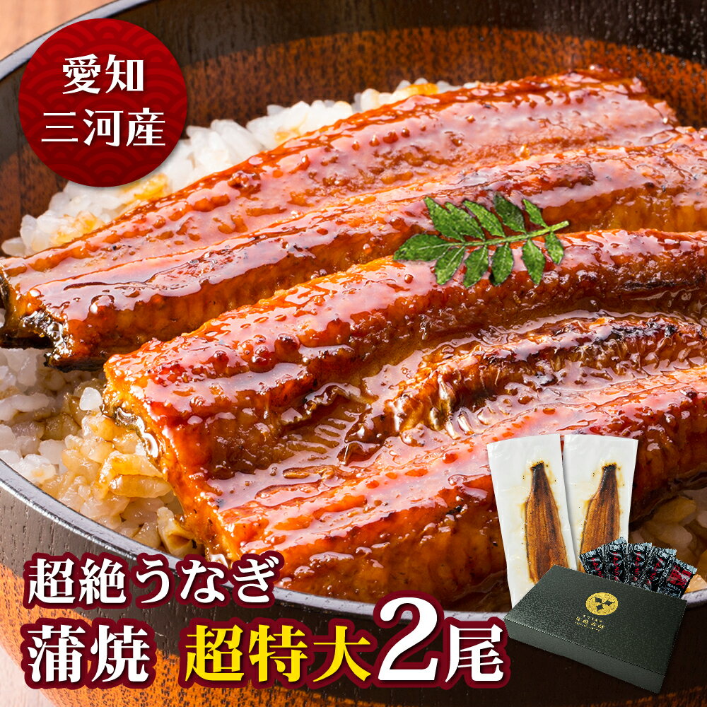 愛知三河産　超絶うなぎ蒲焼（269g-309g）×超特大2尾　5人前うなぎ 蒲焼き ギフト 父の日 母の日 敬老の日 食べ物 プレゼント 鰻 ウナギ 蒲焼 国産 国内産 お祝い 内祝い 結婚内祝い グルメ 丑の日 土用の丑の日 冷凍食品 送料無料