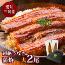 愛知三河産 超絶うなぎ蒲焼(156g-183g)×大2尾 3人前うなぎ 蒲焼き ギフト 父の日 母の日 敬老の日 食べ物 プレゼント 鰻 ウナギ 蒲焼 国産 国...