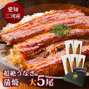 愛知三河産 超絶うなぎ蒲焼(156g-183g)×大5尾 7.5人前うなぎ 蒲焼き ギフト 父の日 母の日 敬老の日 食べ物 プレゼント 鰻 ウナギ 蒲焼 国産...