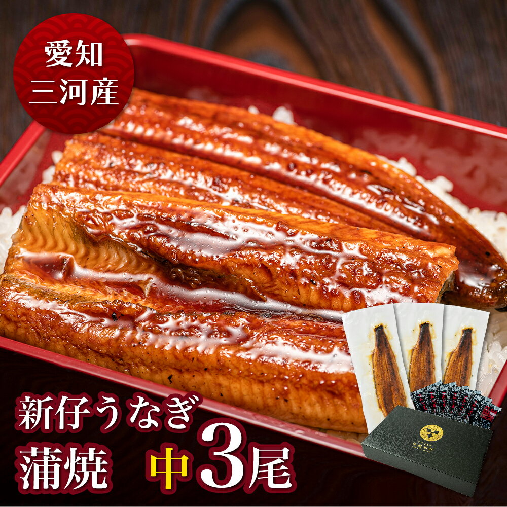 愛知三河産　2023年度加工　新仔うなぎ蒲焼（119g-134g）×中3尾うなぎ 蒲焼き ギフト 父の日 母の日 敬老の日 食べ物 プレゼント 鰻 ウナギ 蒲焼 国産 国内産 お祝い 内祝い 結婚内祝い グルメ 丑の日 土用の丑の日 冷凍食品 送料無料のサムネイル