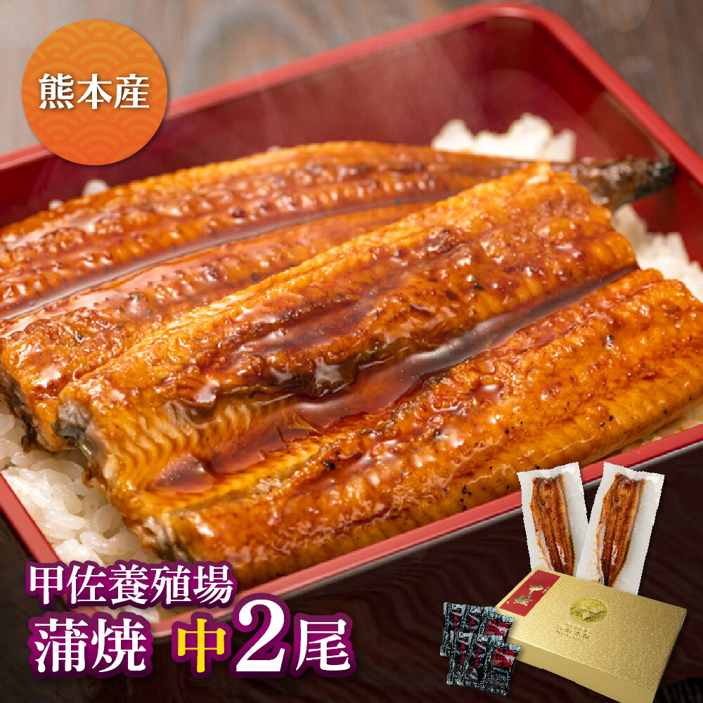 蒲焼き 熊本県産 甲佐養殖場の蒲焼（119g-134g）×中2尾うなぎ 蒲焼き ギフト 父の日 母の日 敬老の日 鰻 ウナギ 蒲焼 国産 国内産 お祝い 内祝い 結婚内祝い グルメ 丑の日 土用の丑の日 冷凍食品 送料無料