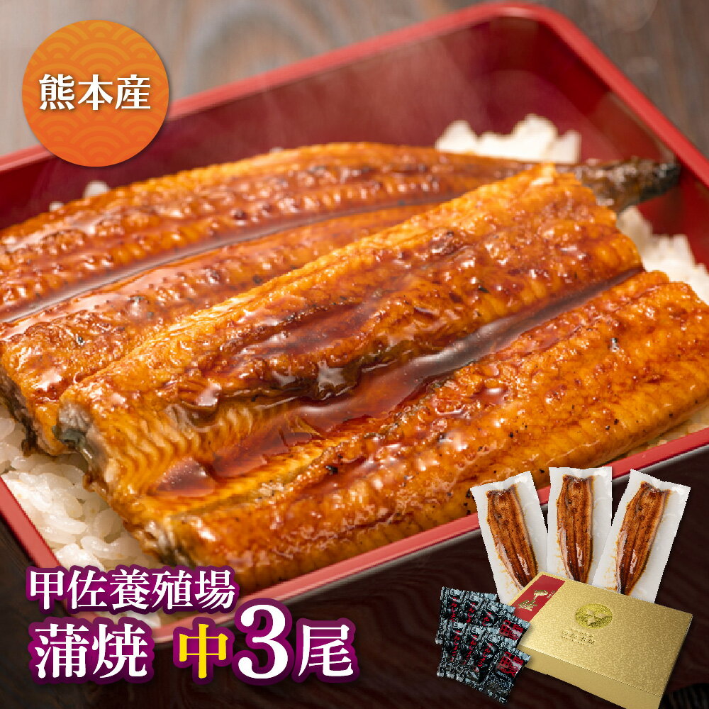 【SS限定50%OFF】熊本県産 甲佐養殖場の蒲焼（119g-134g）×中3尾うなぎ 蒲焼き ギフト 父の日 母の日 敬老の日 鰻 ウナギ 蒲焼 国産 国内産 お祝い 内祝い 結婚内祝い グルメ 丑の日 土用の丑の日 冷凍食品 送料無料のサムネイル