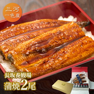 愛知三河一色産 長坂養鰻場の蒲焼（119g-134g）×中2尾 父の日　母の日　敬老の日 うなぎ 蒲焼き ギフト 食べ物 プレゼント 鰻 ウナギ 蒲焼 国産 国内産 お祝い 内祝い 結婚内祝い グルメ 丑の日 土用の丑の日 冷凍食品 送料無料