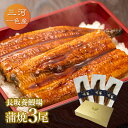 愛知三河一色産 長坂養鰻場の蒲焼(119g-134g)×中3尾 3人前 父の日 母の日 敬老の日 うなぎ 蒲焼き ギフト 食べ物 プレゼント 鰻 ウナギ 蒲焼 国産 国内産 お祝い 内祝い 結婚内祝い グルメ 丑の日 土用の丑の日 冷凍食品 送料無料