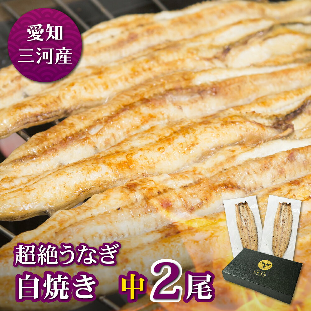 愛知三河産　超絶うなぎ白焼（119g-134g）×中2尾うなぎ 蒲焼き ギフト 父の日 母の日 敬老の日 食べ物 プレゼント 鰻 ウナギ 蒲焼 国産 国内産 お祝い 内祝い 結婚内祝い グルメ 丑の日 土用の丑の日 冷凍食品 送料無料