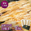 愛知三河産 超絶うなぎ白焼(119g-134g)×中3尾うなぎ 蒲焼き ギフト 父の日 母の日 敬老の日 食べ物 プレゼント 鰻 ウナギ 蒲焼 国産 国内産 お...