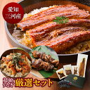 愛知三河産 超絶うなぎ厳選セット(長蒲焼、カット蒲焼、きざみ蒲焼、肝串)うなぎ 蒲焼き 父の日 お中元 敬老の日 お歳暮 食品 プレゼント 鰻 ウナギ 蒲焼 国産 誕生日 お祝い 内祝い 結婚祝い グルメ 丑の日 土用の丑の日 冷凍食品 送料無料