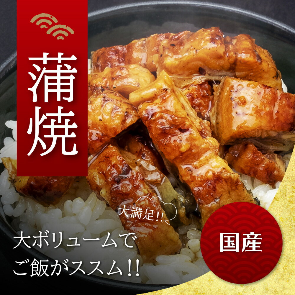 ＼サマーセール!!!総量800g 50%OFFクーポンあり／土用の丑・ご自宅で是非！--国産 ぶっかけきざみうなぎ　80g（50g+タレ30g）×10枚　うなぎ 蒲焼き 櫃まぶし ひつまぶし キザミうなぎ 惣菜 食べ物 鰻 ウナギ 蒲焼 国産 グルメ 土用の丑 冷凍食品 送料無料