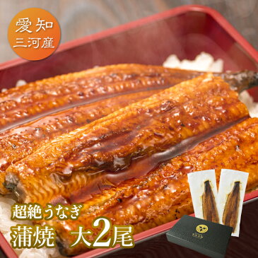 愛知三河産 超絶うなぎ蒲焼(156g-183g)×大2尾 3人前うなぎ 蒲焼き ギフト 父の日 母の日 敬老の日 食べ物 プレゼント 鰻 ウナギ 蒲焼 国産 国内産 お祝い 内祝い 結婚内祝い グルメ 丑の日 土用の丑の日 冷凍食品 送料無料