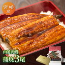 宮崎県産 山道養鰻の蒲焼(119g-134g)×中3尾うなぎ 蒲焼き ギフト 父の日 母の日 敬老の日 食べ物 プレゼント 鰻 ウナギ 蒲焼 国産 国内産 お祝...