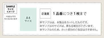 【サンプル専用ページ】サンゲツ クッションフロア 店舗用クッションフロア (カットサンプル) 2.3mm厚 抗菌 H FLOOR Hフロア 床シート 床材 チーク チェリー アッシュ オーク ウッド 木目柄