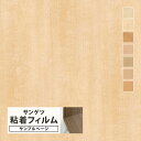 【サンプル専用ページ】サンゲツ リアテック 日本製 ウッド (カットサンプル) 木目調 家具 建具 壁紙