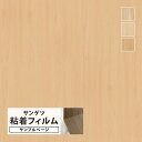 【サンプル専用ページ】サンゲツ リアテック 日本製 ベーシックウッド (カットサンプル) 木目調 家具 建具 壁紙