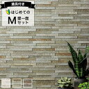 【最大8000円クーポン★大感謝祭】 エコカラットプラス ディニタ リクシル ECPCARAT 石積み【初心者でも簡単】 壁一面2700セット MECP‐252...