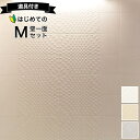 エコカラットプラス リクシル ニュートランス ECOCARAT 【初心者でも簡単】 壁一面2700 セット ECP-303/NTC1N NTC2N NTC3N ...