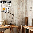 y ǎ ̂Ȃ z ǎ ̂Ȃ hJr ؖڒ Ebh zCgEbh SNOOPY Xk[s[ TQc RE-51566