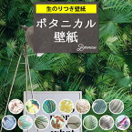 壁紙 のり付き ボタニカル柄 クロス おしゃれ ボタニカル モンステラ 緑 グリーン 青 サファリ 芝生 花 緑 南国 鳥 植物 葉 トロピカル アクメファニチャー DIY アクセントクロス キズに強い 表面強化 不燃 国産壁紙 生のり付き