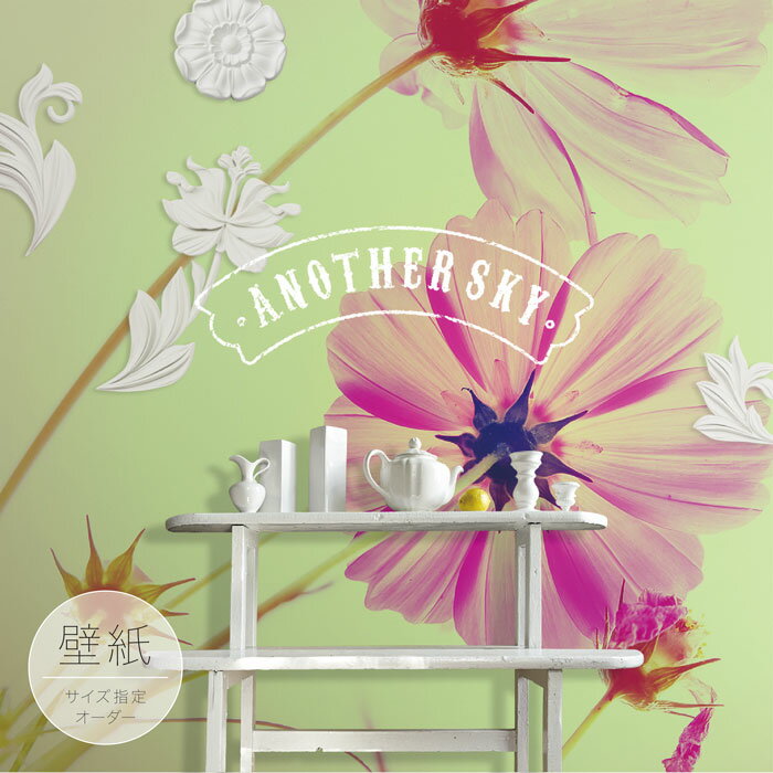 �ڥ��������ɻ�� �ɻ� �̿� ������� �� �����⥹ �ܥ��˥��� ��ȥ� Ž��䤹�� �ե��� �ط� �ǥ����� �ɥ��� ������ �� ��ᥤ�� �����ؤ� Ź ����...