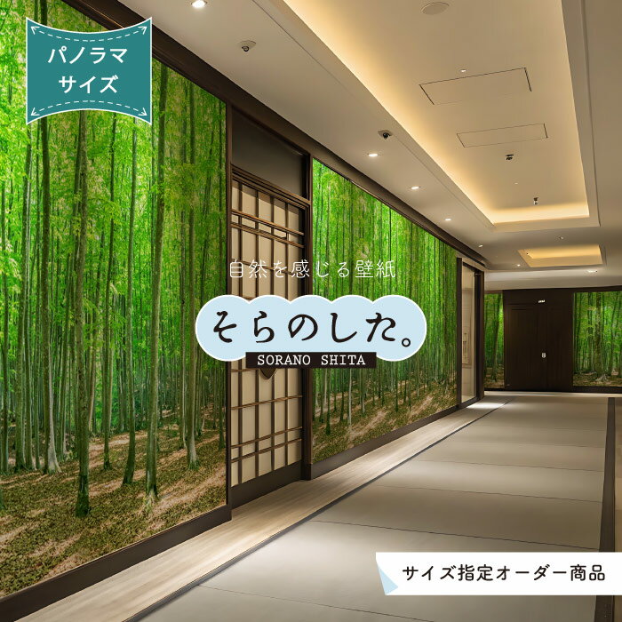 【オーダー壁紙】 壁紙 森林 写真 パノラマ おしゃれ 自然 癒し 貼りやすい デザイン 防カビ 日本製 国産 リメイク 模様替え 店舗 天井 部屋 寝室 キッチン リビング トイレ 風景 景色 グリーン かべがみはるこ そらのした。 【ss16765】