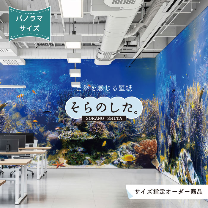 【オーダー壁紙】 壁紙 海の中 水中 ダイビング サンゴ 熱帯魚 サンゴ礁 写真 パノラマ おしゃれ 自然 幻想的 貼りやすい デザイン 防カビ 日本製 国産 リメイク 模様替え 店舗 天井 部屋 寝室 キッチン リビング トイレ 風景 景色 ブルー かべがみはるこ そらのした。