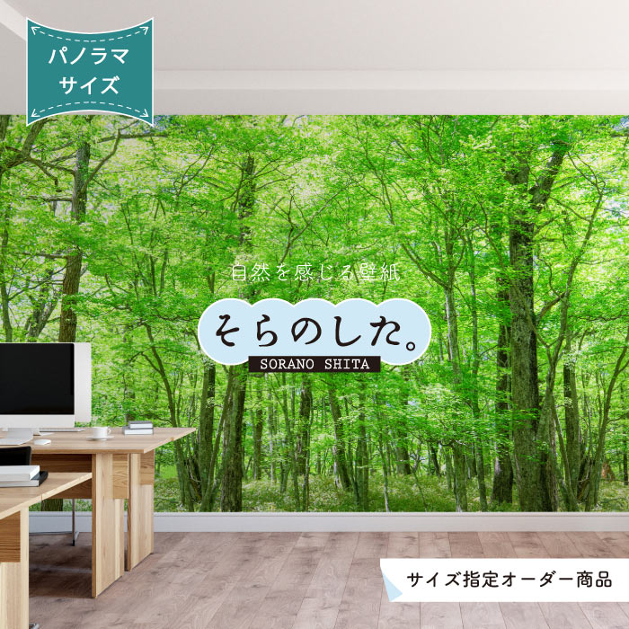 Rakuten - 【オーダー壁紙】 壁紙 森林 木 写真 おしゃれ 自然 癒し 貼りやすい デザイン 防カビ 日本製 国産 リメイク 模様替え 店舗 天井 部屋 寝室 キッチン リビング トイレ 風景 景色 グリーン かべがみはるこ そらのした。 【ss17757】