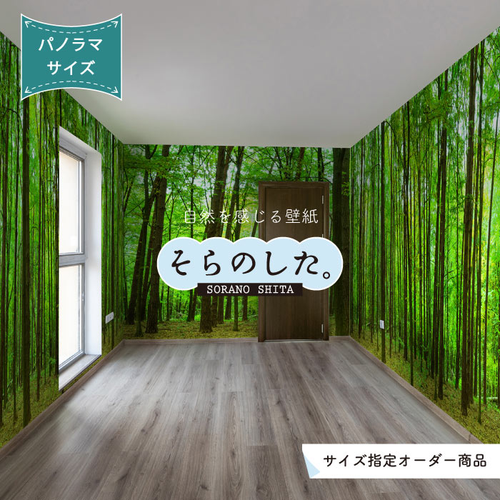 Rakuten - 【オーダー壁紙】 壁紙 森林 木 写真 おしゃれ パノラマ 自然 癒し 貼りやすい デザイン 防カビ 日本製 国産 リメイク 模様替え 店舗 天井 部屋 寝室 キッチン リビング トイレ 風景 景色 グリーン かべがみはるこ そらのした。 【ss17771】