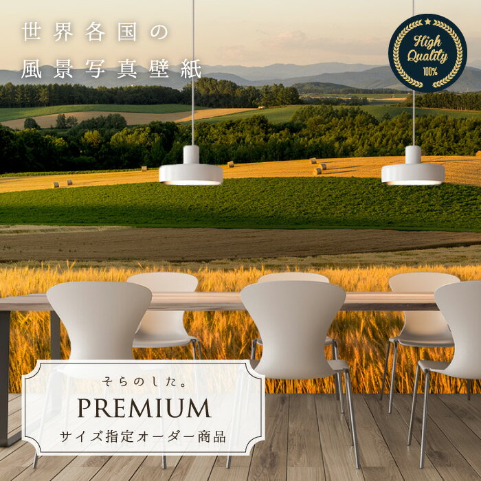 Rakuten - 【オーダー壁紙】 壁紙 写真 北海道 丘 カントリー 草原 麦畑 黄金 おしゃれ 綺麗 自然 開放的 癒し 貼りやすい 防カビ 日本製 国産 リメイク 模様替え 店舗 内装 部屋 寝室 キッチン リビング トイレ 風景 景色 かべがみはるこ そらのした。premium