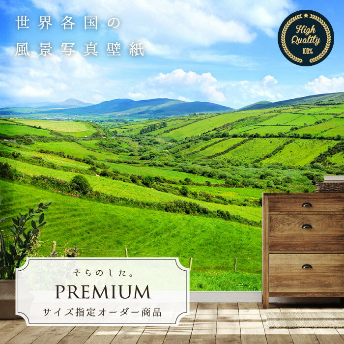 Rakuten - 【オーダー壁紙】 壁紙 写真 草原 空 青空 開放的 アイルランド おしゃれ 綺麗 自然 開放的 癒し 貼りやすい 防カビ 日本製 国産 リメイク 模様替え 店舗 内装 寝室 リビング トイレ 風景 景色 かべがみはるこ そらのした。premium