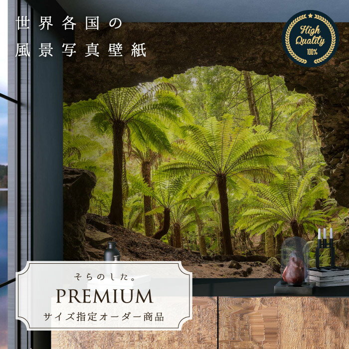 Rakuten - 【オーダー壁紙】 壁紙 写真 森林 洞窟 ジャングル タスマニア おしゃれ 綺麗 自然 開放的 癒し 貼りやすい 防カビ 日本製 国産 リメイク 模様替え 店舗 内装 部屋 寝室 キッチン リビング トイレ 風景 景色 かべがみはるこ そらのした。premium