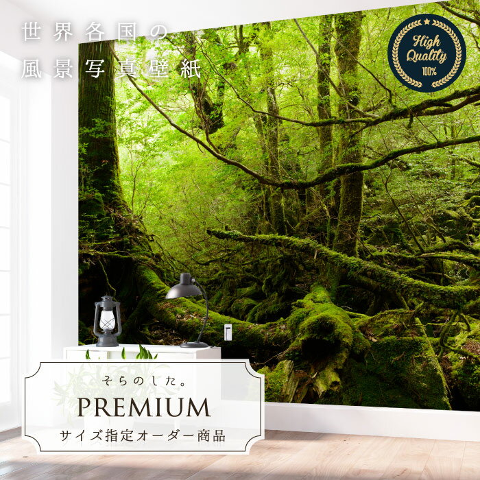 Rakuten - 【オーダー壁紙】 壁紙 写真 森 山 ジャングル 屋久島 神秘的 大自然 おしゃれ 綺麗 自然 開放的 癒し 貼りやすい 防カビ 日本製 国産 リメイク 模様替え 店舗 内装 部屋 寝室 キッチン リビング トイレ 風景 景色 かべがみはるこ そらのした。premium