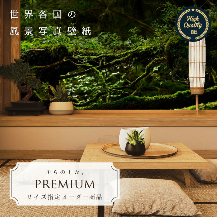 �ڥ��������ɻ�� �ɻ� �̿� �� �� ����󥰥� ������ ����Ū �缫�� ������� ��� ���� ����Ū ���� Ž��䤹�� �ɥ��� ������ �� ��ᥤ�� ������...