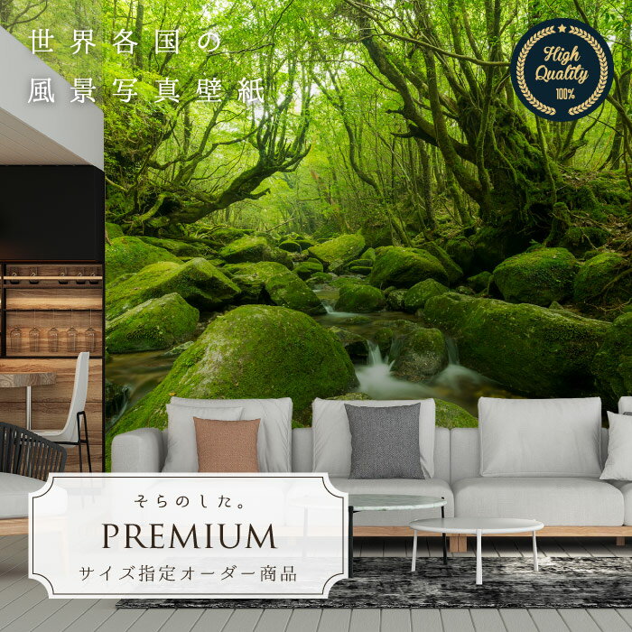 �ڥ��������ɻ�� �ɻ� �̿� �� �� ����󥰥� ������ ����Ū �缫�� ������� ��� ���� ����Ū ���� Ž��䤹�� �ɥ��� ������ �� ��ᥤ�� ������...