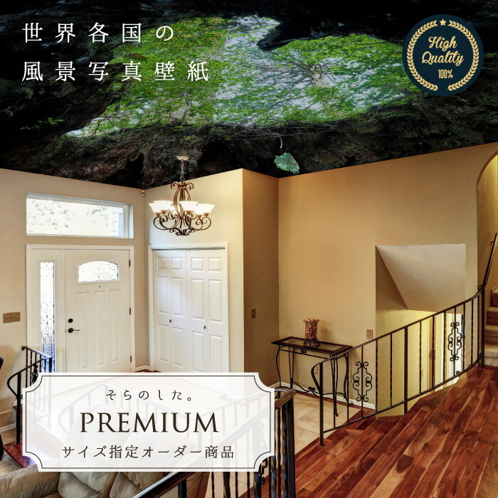 Rakuten - 【オーダー壁紙】 壁紙 写真 森 山 屋久島 ハート 神秘的 大自然 おしゃれ 綺麗 自然 開放的 癒し 貼りやすい 防カビ 日本製 国産 リメイク 模様替え 店舗 内装 部屋 寝室 天井 キッチン リビング トイレ 風景 景色 かべがみはるこ そらのした。premium