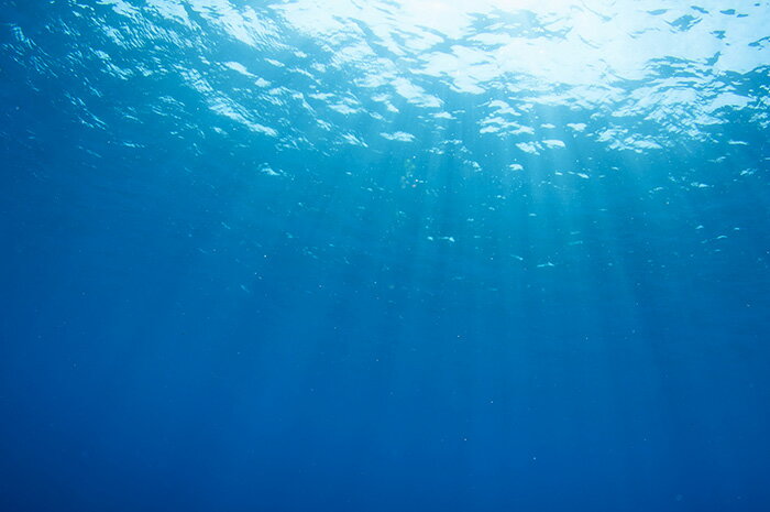 楽天市場 オーダー壁紙 壁紙 海の中 水中 ダイビング 写真 おしゃれ 自然 幻想的 貼りやすい デザイン 防カビ 日本製 国産 リメイク 模様替え 店舗 天井 部屋 寝室 キッチン リビング トイレ 風景 景色 ブルー かべがみはるこ そらのした かべがみはるこの壁紙工場