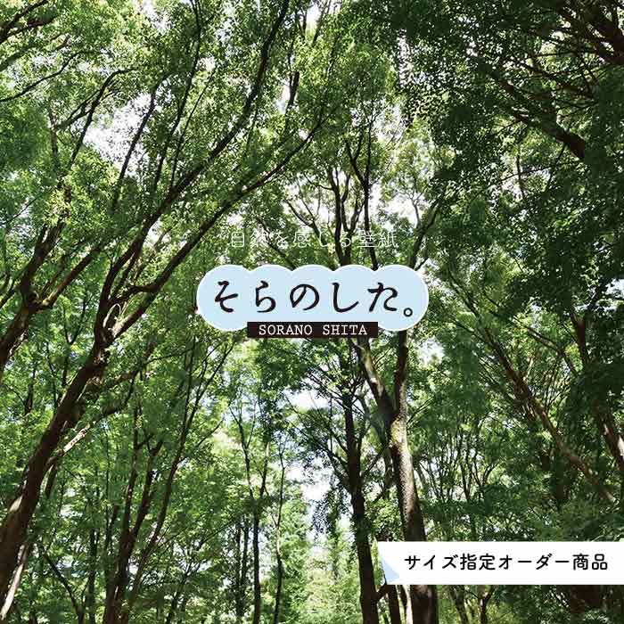 Rakuten - 【オーダー壁紙】 壁紙 森林 写真 おしゃれ 自然 癒し 貼りやすい デザイン 防カビ 日本製 国産 リメイク 模様替え 店舗 天井 部屋 寝室 キッチン リビング トイレ 風景 景色 グリーン かべがみはるこ そらのした。 【ss0004】
