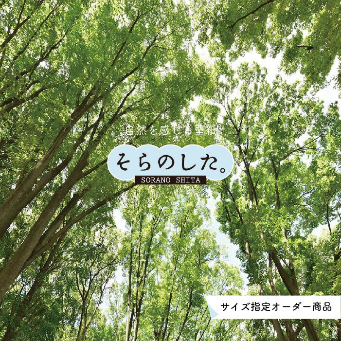 Rakuten - 【オーダー壁紙】 壁紙 森林 写真 おしゃれ 自然 癒し 貼りやすい デザイン 防カビ 日本製 国産 リメイク 模様替え 店舗 天井 部屋 寝室 キッチン リビング トイレ 風景 景色 グリーン かべがみはるこ そらのした。 【ss0005】