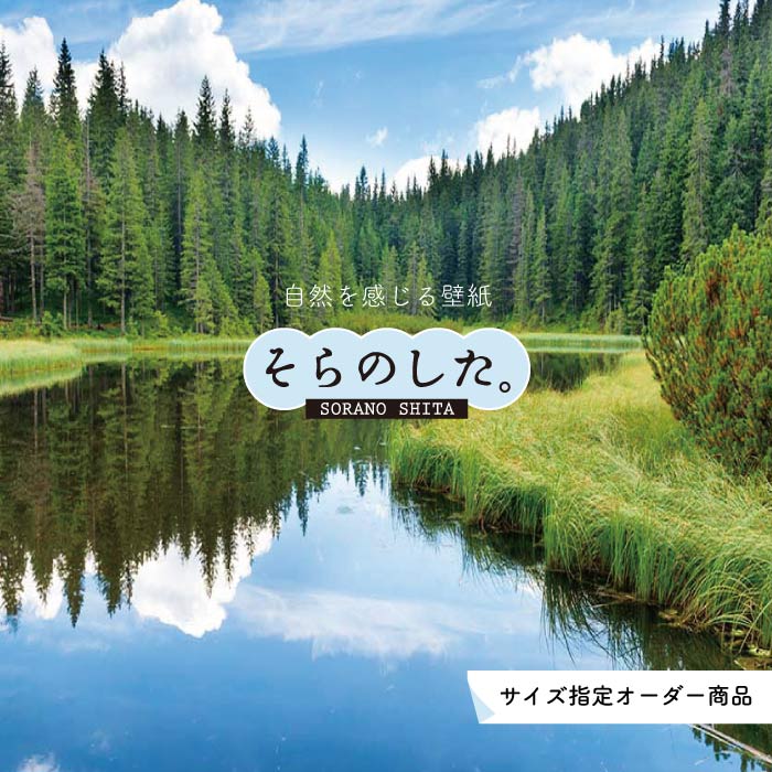 Rakuten - 【オーダー壁紙】 壁紙 森林 おしゃれ 写真 自然 癒し 貼りやすい デザイン 防カビ 日本製 国産 リメイク 模様替え 店舗 天井 部屋 寝室 キッチン リビング トイレ 風景 景色 グリーン かべがみはるこ そらのした。