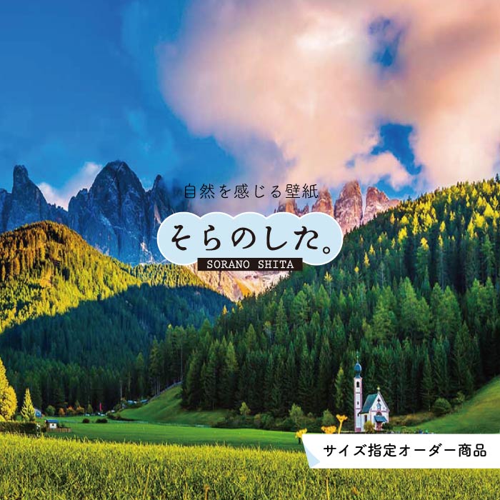 【オーダー壁紙】 壁紙 森林 写真 おしゃれ 自然 癒し 貼りやすい デザイン 防カビ 日本製 国産 リメイク 模様替え 店舗 天井 部屋 寝室 キッチン リビング トイレ 風景 景色 グリーン かべがみはるこ そらのした。 【ss0050】