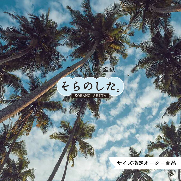 Rakuten - 【オーダー壁紙】 壁紙 ヤシの木 海 写真 おしゃれ 南国風 ハワイアン ビーチ リゾート 海岸 貼りやすい 防カビ 日本製 国産 リメイク 模様替え 店舗 天井 部屋 寝室 キッチン リビング トイレ 風景 景色 ブルー かべがみはるこ そらのした。