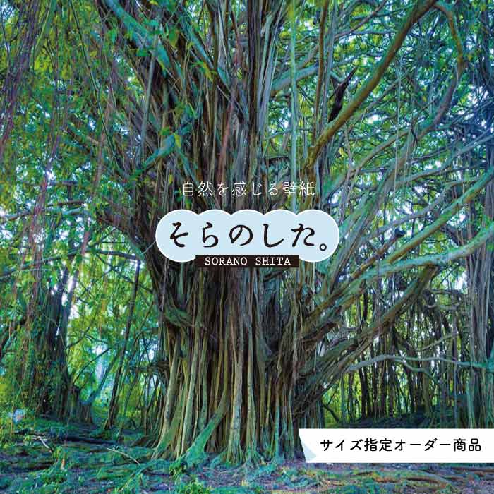 �ڥ��������ɻ�� �ɻ� ����󥰥� �� ���� �̿� ������� ���� ���� Ž��䤹�� �ǥ����� �ɥ��� ������ �� ��ᥤ�� �����ؤ� Ź�� ŷ�� ���� ����...