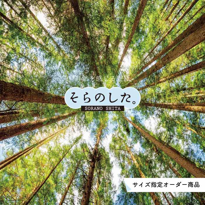 Rakuten - 【オーダー壁紙】 壁紙 森林 写真 おしゃれ 自然 癒し 貼りやすい デザイン 防カビ 日本製 国産 リメイク 模様替え 店舗 天井 部屋 寝室 キッチン リビング トイレ 風景 景色 グリーン かべがみはるこ そらのした。 【ss0089】