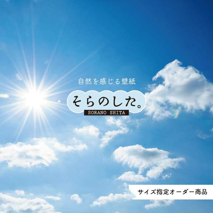 乐天商城 - 【オーダー壁紙】 壁紙 空 おしゃれ 写真 自然 雲 スカイ クラウド 癒し 貼りやすい デザイン 防カビ 日本製 国産 リメイク 模様替え 店舗 天井 部屋 寝室 キッチン リビング トイレ 美しい 風景 景色 白 ブルー かべがみはるこ そらのした。