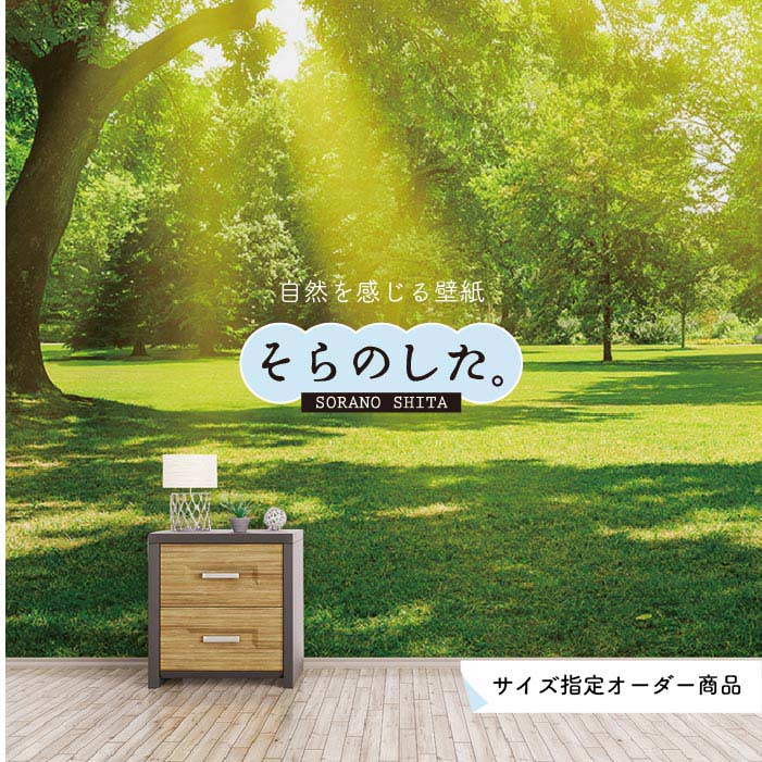 乐天商城 - 【オーダー壁紙】 壁紙 森林 写真 おしゃれ 自然 癒し 貼りやすい デザイン 防カビ 日本製 国産 リメイク 模様替え 店舗 天井 部屋 寝室 キッチン リビング トイレ 風景 景色 グリーン かべがみはるこ そらのした。 【ss15354】