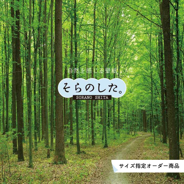 Rakuten - 【オーダー壁紙】 壁紙 森林 写真 おしゃれ 自然 癒し 貼りやすい デザイン 防カビ 日本製 国産 リメイク 模様替え 店舗 天井 部屋 寝室 キッチン リビング トイレ 風景 景色 グリーン かべがみはるこ そらのした。 【ss15363】
