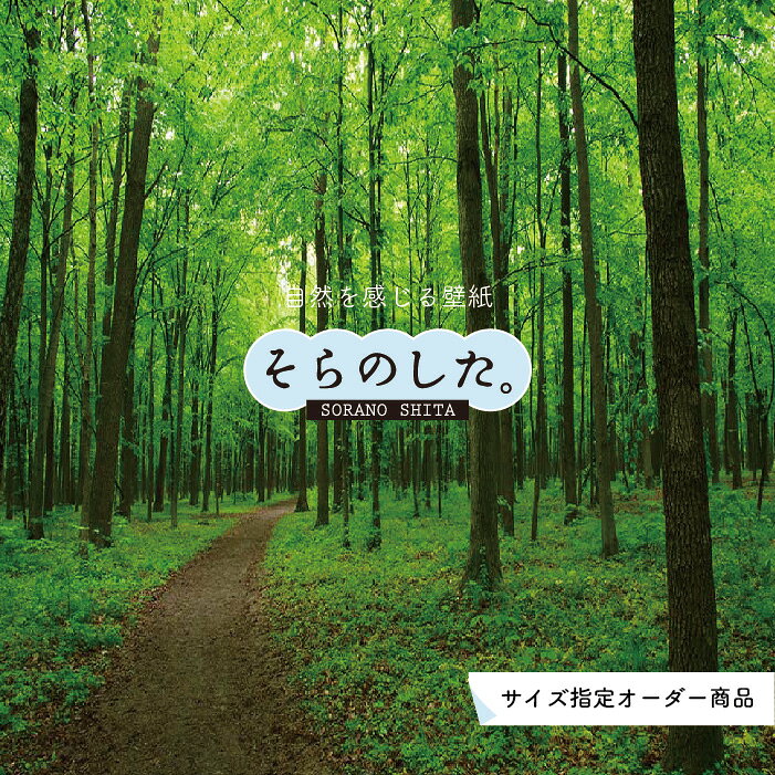 Rakuten - 【オーダー壁紙】 壁紙 森林 写真 おしゃれ 自然 癒し 貼りやすい デザイン 防カビ 日本製 国産 リメイク 模様替え 店舗 天井 部屋 寝室 キッチン リビング トイレ 風景 景色 グリーン かべがみはるこ そらのした。 【ss15377】