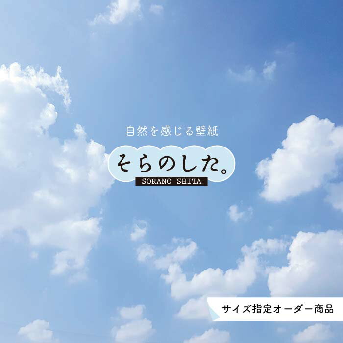 Rakuten - 【オーダー壁紙】 壁紙 空 おしゃれ 写真 自然 雲 スカイ クラウド 癒し 貼りやすい デザイン 防カビ 日本製 国産 リメイク 模様替え 店舗 天井 部屋 寝室 キッチン リビング トイレ 美しい 風景 景色 白 ブルー かべがみはるこ そらのした。
