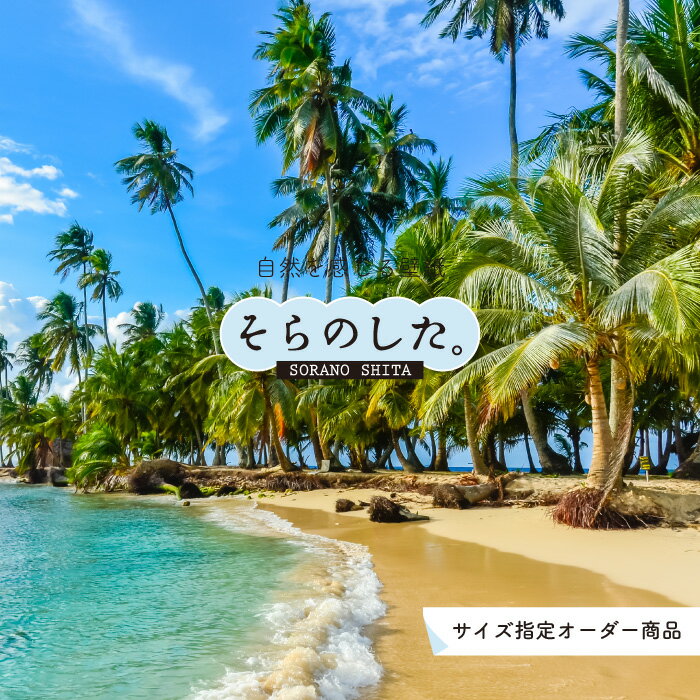 Rakuten - 【オーダー壁紙】 壁紙 ヤシの木 海 写真 おしゃれ 南国風 ハワイアン ビーチ リゾート 海岸 砂浜 貼りやすい 防カビ 日本製 国産 リメイク 模様替え 店舗 天井 部屋 寝室 キッチン リビング トイレ 風景 景色 ブルー かべがみはるこ そらのした。