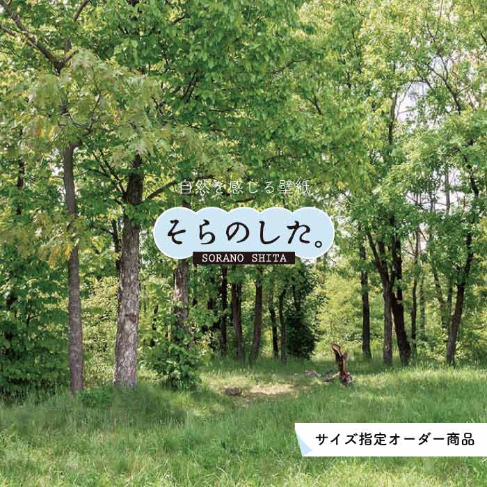 乐天商城 - 【オーダー壁紙】 壁紙 森林 写真 おしゃれ 自然 癒し 貼りやすい デザイン 防カビ 日本製 国産 リメイク 模様替え 店舗 天井 部屋 寝室 キッチン リビング トイレ 風景 景色 グリーン かべがみはるこ そらのした。 【ss15410】